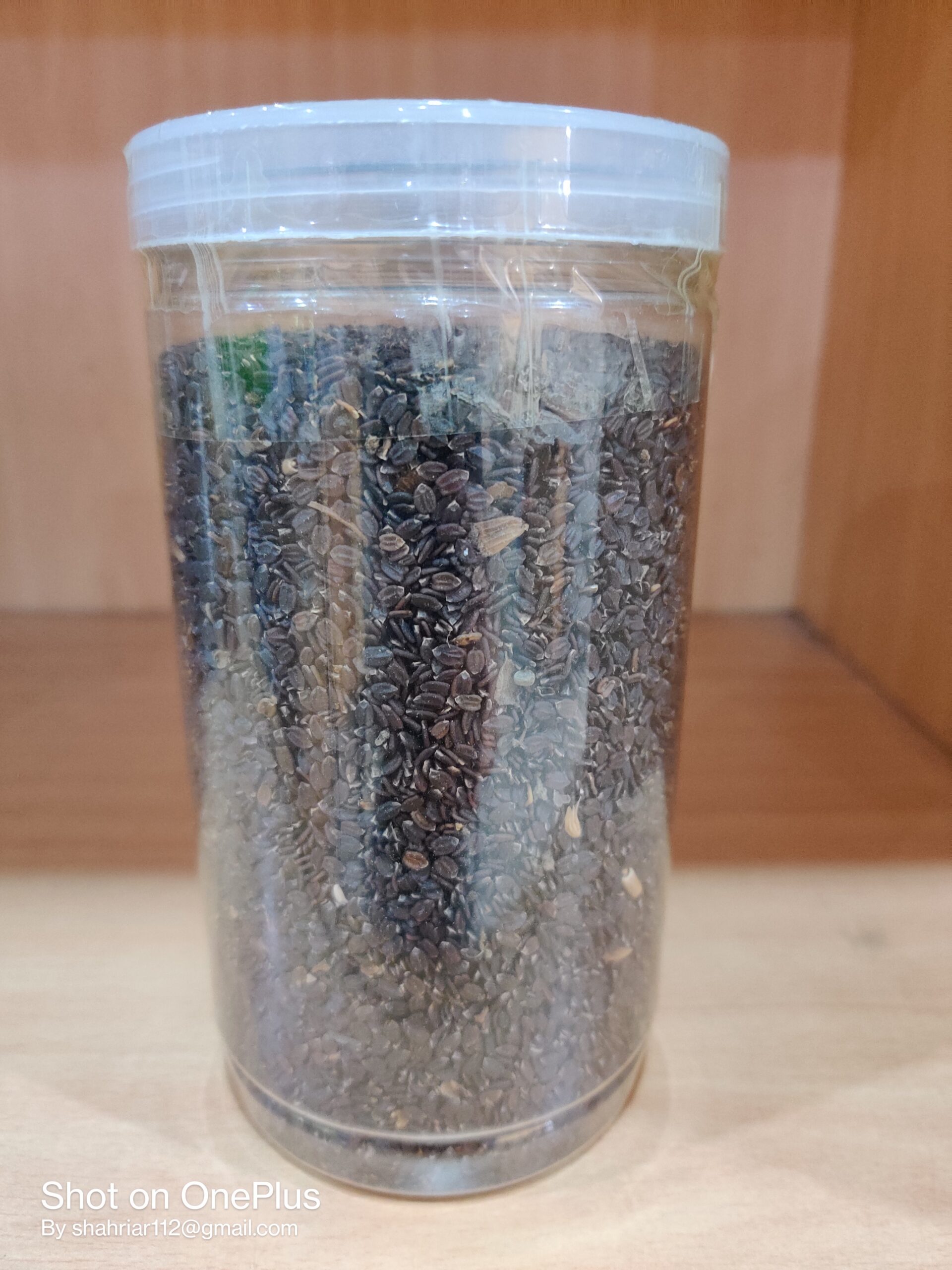 তোকমা দানা BASIL SEEDS - Image 4